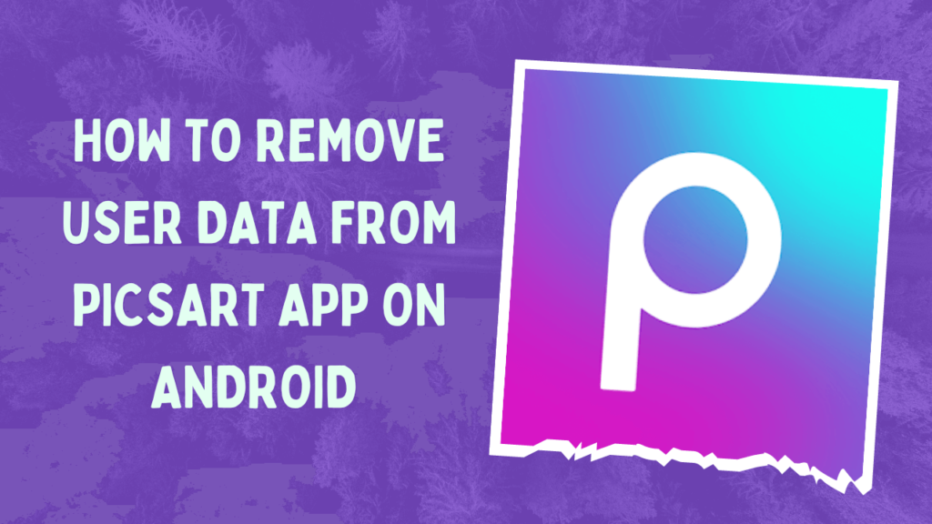 delete-user-data-in-the-picsart-app