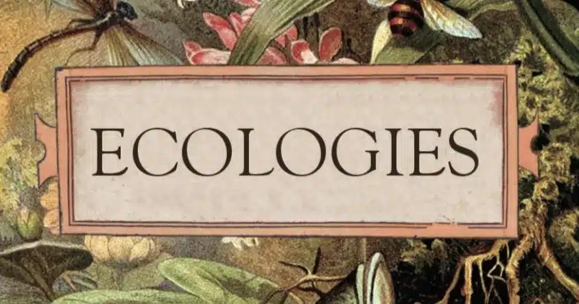 play ecologies card game